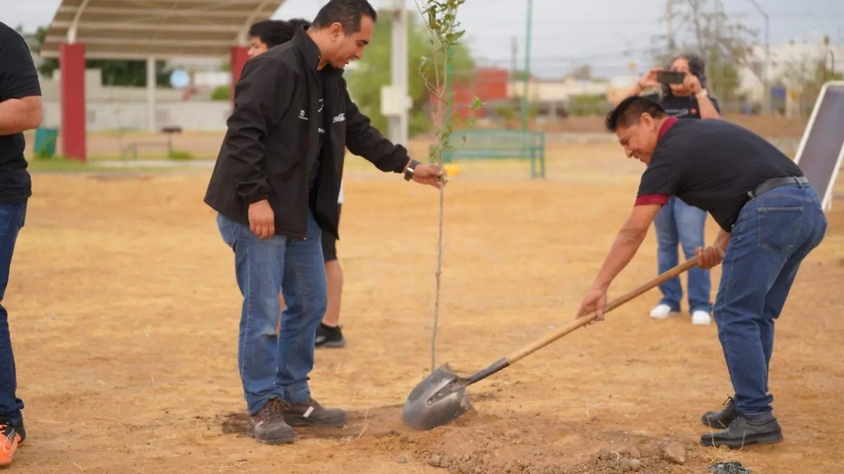 Se aplica tecnología de hidrogel para conservar la humedad